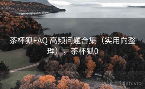 茶杯狐FAQ 高频问题合集（实用向整理），茶杯狐0