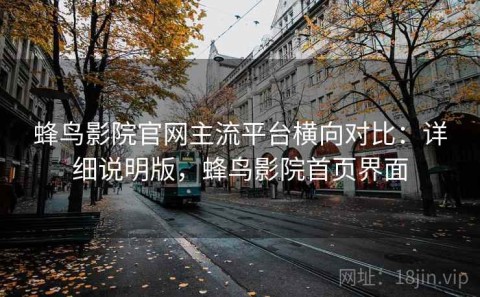 蜂鸟影院官网主流平台横向对比：详细说明版，蜂鸟影院首页界面