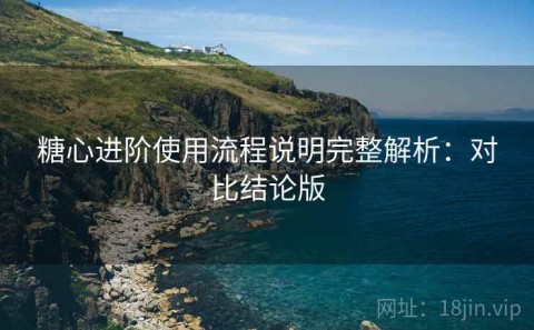 糖心进阶使用流程说明完整解析：对比结论版