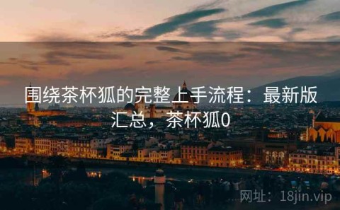 围绕茶杯狐的完整上手流程：最新版汇总，茶杯狐0