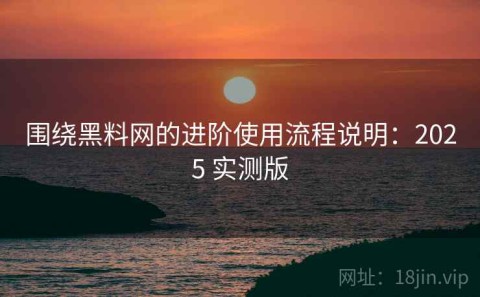 围绕黑料网的进阶使用流程说明：2025 实测版
