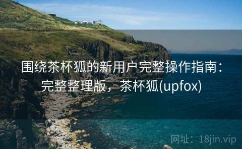 围绕茶杯狐的新用户完整操作指南：完整整理版，茶杯狐(upfox)