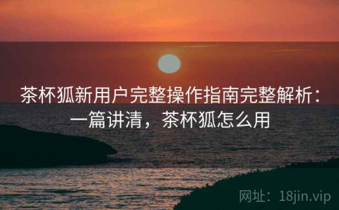 茶杯狐新用户完整操作指南完整解析：一篇讲清，茶杯狐怎么用