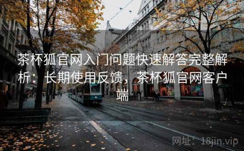 茶杯狐官网入门问题快速解答完整解析：长期使用反馈，茶杯狐官网客户端