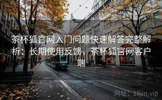 茶杯狐官网入门问题快速解答完整解析：长期使用反馈，茶杯狐官网客户端