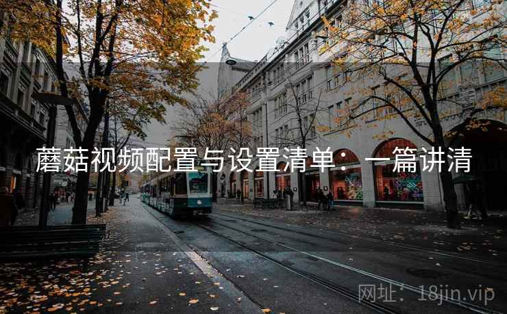 蘑菇视频配置与设置清单：一篇讲清