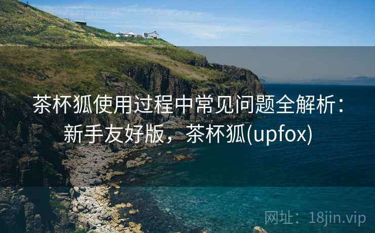 茶杯狐使用过程中常见问题全解析：新手友好版，茶杯狐(upfox)